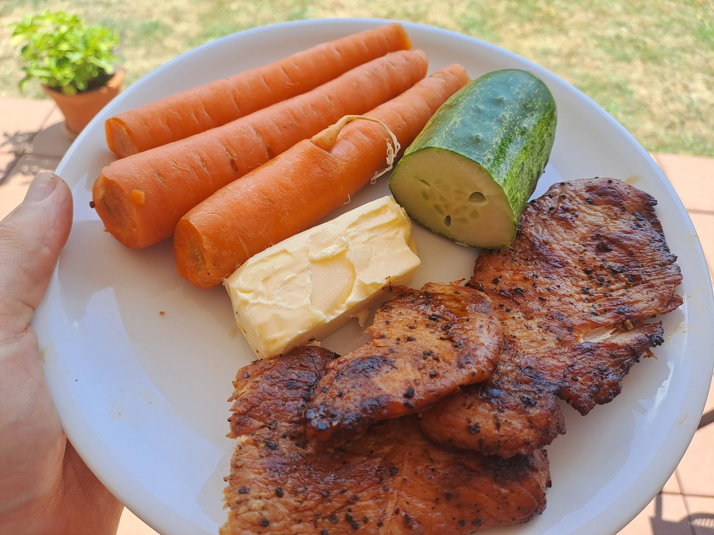 A plate held outside with grilled steaks, carrots, cucumber and a piece of butter