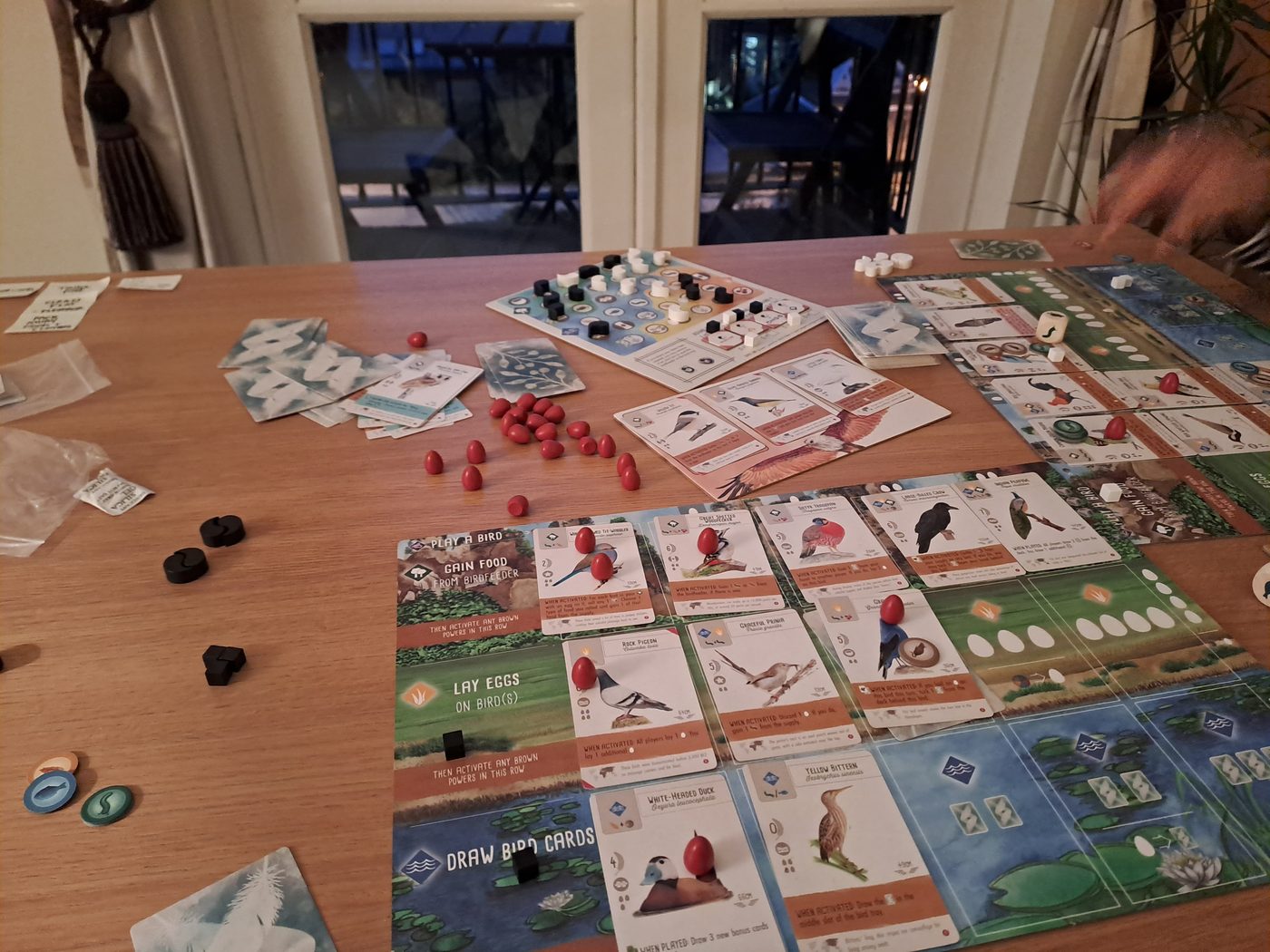 A game of Wingspan set up on a wooden table in the evening